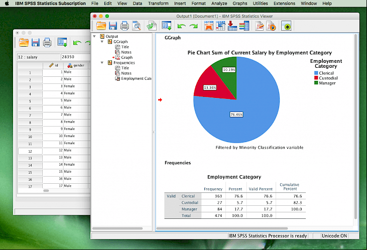 IBM SPSS Statistics (64-bit)